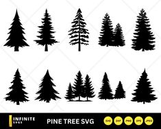 pine tree silhouettes in different styles and sizes, with the text pine trees svt