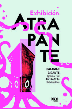 an advertisement for the exhibition artra pane, with pink and black graphics on it