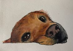 a drawing of a brown dog's head resting on the ground with its eyes open