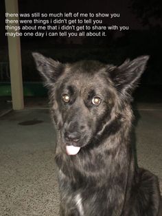 a black dog sitting on top of a cement floor next to a white sign that says, there was so much left of me to show you there