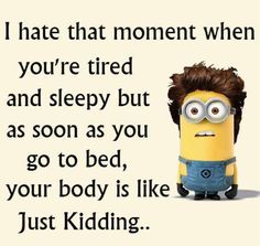 Funny Minions Quotes Of The Day :) Quotes Funny Life, Funny Minion Memes, Minion Pictures, Minion Jokes, Minions Love, A Minion, Minion Quotes, Funny Minion Quotes, Quote Of The Week