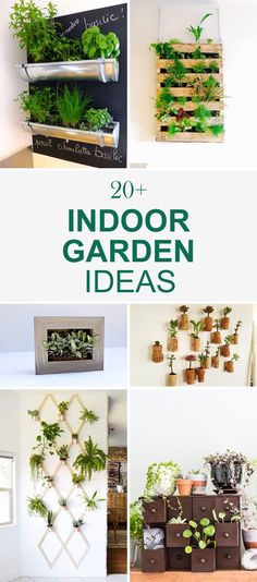 indoor garden ideas that are easy to make