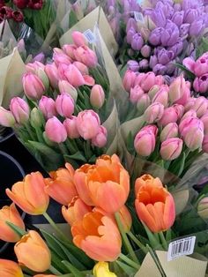 many different colored tulips on display at a flower shop with price tags attached to them