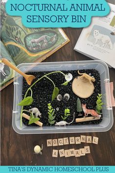 a box filled with plants and animals next to scrabble letters that spell out the word nocturnnal animal sensory bin