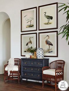 two chairs and a dresser in a room with paintings on the wall above them, along with a potted plant