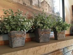 three potted plants sitting on top of a mantle