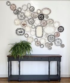 a table with a potted plant sitting on top of it next to a wall covered in plates