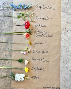 flowers laid out on top of a piece of paper