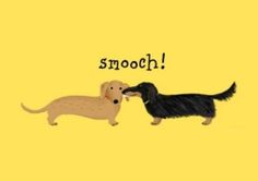 two dogs that are standing next to each other on a yellow background with the words smooth