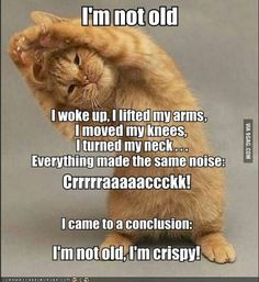 a cat sitting on its hind legs with the caption i'm not old