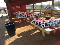 tables set up for a birthday party with cow print tablecloths