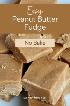 This Easy Peanut Butter Fudge is the perfect no-bake dessert for the holidays! With just 5 ingredients and ready in 10 minutes, it’s rich, creamy, smooth and decadent. The best homemade fudge recipe for Christmas - great for gifting or enjoying yourself. Fudge Recipes Easy Peanut Butter, No Cook Peanut Butter Fudge, Peanut Butter Fudge With Fluff, No Bake Fudge Recipes, No Cook Fudge, Best Homemade Fudge, No Bake Peanut Butter Fudge, Easy Peanut Butter Fudge Recipe, Homemade Fudge Recipe