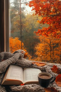 an open book, cup of coffee and blanket on a window sill