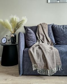 a couch with a blanket on top of it next to a clock and plant in a vase