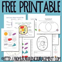 free printable science worksheets for kids to learn about plants and their life cycles