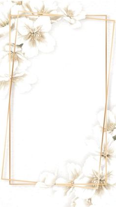 white flowers and gold frame on a white background