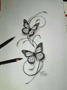 a pencil drawing of two butterflies on paper