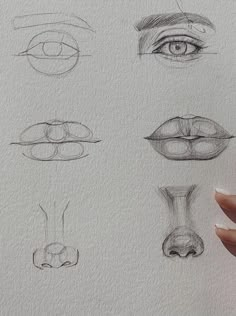 a person holding a pen and drawing different types of eyes on a piece of paper