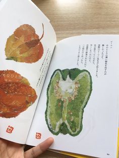 an open book with pictures of leaves on the pages and writing in chinese characters below