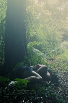 a woman laying on the ground next to a tree in a forest with sunlight coming through the trees