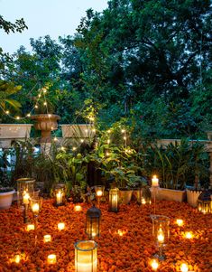 candles are lit in the middle of a garden