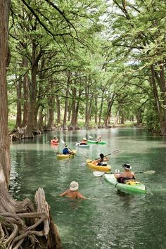 several people in kayaks paddling down a river with trees lining the sides and water