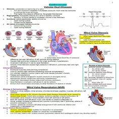 the diagram shows how heart valves are connected to each other and what they can do