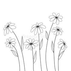 flowers line drawing on white background with space for your own text or image stock photo