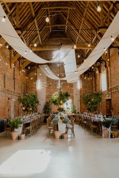 This shows a dining set up in a Godwick Great Barn.There are three long rectangular rows of tables. Above the tables are ivy hanging boards with light bulbs hanging from them. On the tables are white table runners, with terracotta pots of lemon trees, herbs, and black round vases of fresh dandelion flowers. Alongside the greenery are black plates and blue napkins. At the base of the tables are two large terracotta pots, both with twisted olive trees in them. In the middle is a black vase. Mediterranean Garden Wedding, Dream Wedding Theme, Mediterranean Theme, Wedding Terracotta, Mediterranean Vibes, Wedding Dining, Barn Photography, Rustic Table Runners, Lemon Trees