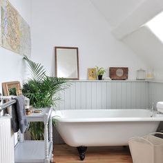 the bathroom fixtures tips are displayed in front of a white bathtub with plants on it