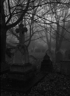 black and white photo of cemetery in the fog with tombstones, trees and headstones