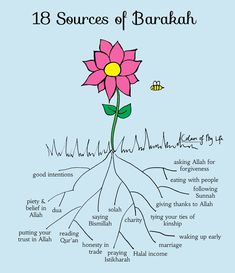 a poster with words describing the parts of a flower and what it's called