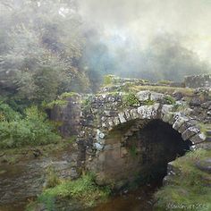 an old stone bridge over a stream in the woods on a foggy, misty day