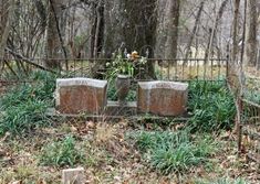 an old cemetery in the woods with flowers growing out of it's headstones