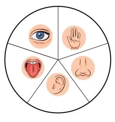 four different types of facial expressions in a circle