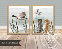 two watercolor paintings of ducks flying over reeds with a dog in the foreground