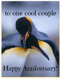 two penguins touching each other with the words happy anniversary to one cool couple on it