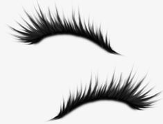 two black and white eyelashes with long, fluffy lashes on top of each eyeliner