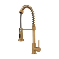 a kitchen faucet with an adjustable sprayer and pull out spout, in bronze