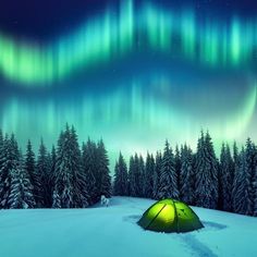 a tent pitched up in the snow under an aurora bore above trees with green lights