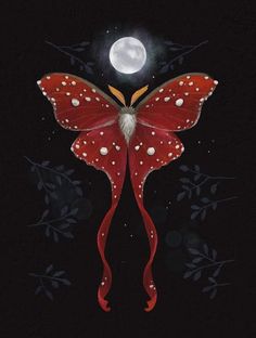 a red butterfly with white dots on it's wings and the moon in the background