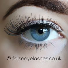 For Lash, 3d Mink Lashes, Dramatic Look