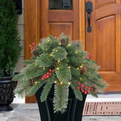 a potted plant with pine cones and red berries on the front porch, decorated for christmas