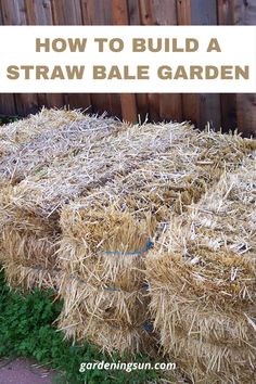 hay bale garden with text overlay how to build a straw bale garden