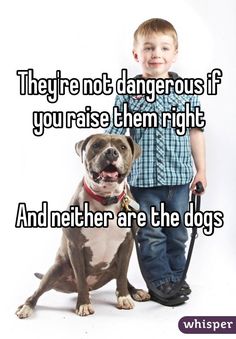 a little boy standing next to a dog with the caption they're not dangerous if you raise them right and another are the dogs