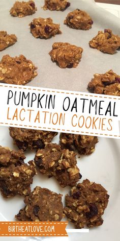 Pumpkin Lactation Recipes, Oatmeal Lactation Cookies, Foods To Increase Milk Supply, Dairy Free Lactation Cookies, Breastfeeding Cookies, Healthy Lactation Cookies, Food For Breastfeeding Moms, 2nd Pregnancy, Oat Bar Recipes