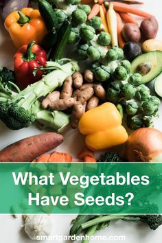 what vegetables have seeds on the table with text overlay that reads, what vegetables have seeds?