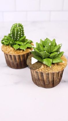 two cupcakes with plants in them sitting on a counter top next to each other