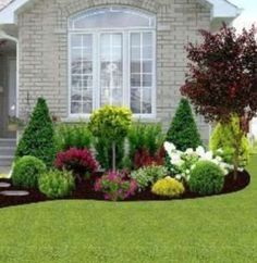 landscaping in front of a house with shrubs and flowers on the lawn, including trees