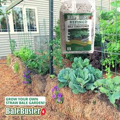 a garden with plants growing in it and a sign that says grow your own straw bale garden